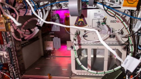 <b>Redwire, Sierra partner to make drugs on inflatable space habitat</b>