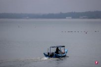 <b>The mainland reiterates that the Golden Gate turnover case is a malignant hitter platf</b>